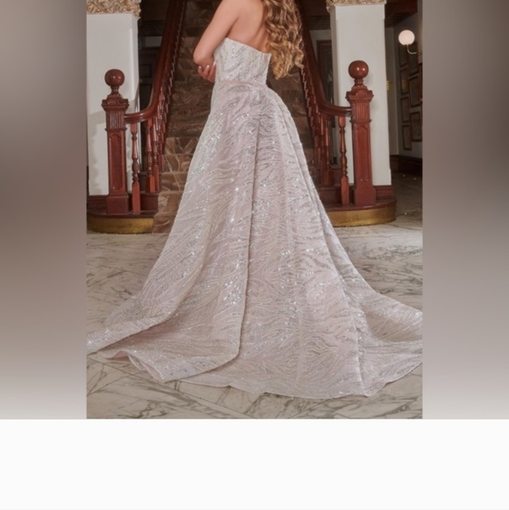 PORTIA AND SCARLETT Ivory Embellished Gown PS22017 w/Detachable Skirt - Size 12 - Picture 3 of 9
